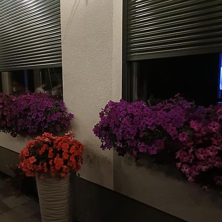 Lesne Niebo Hotel Lubniewice Ngoại thất bức ảnh